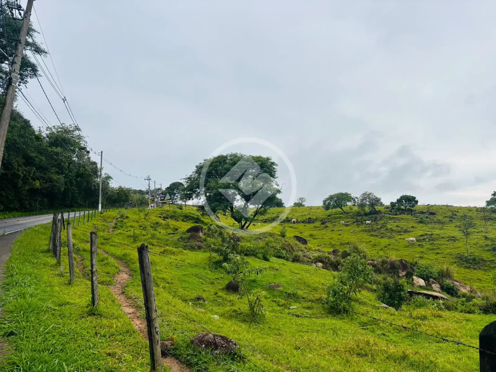 Area para locaçao e venda no bairro Monte Alegre em Vinhedo