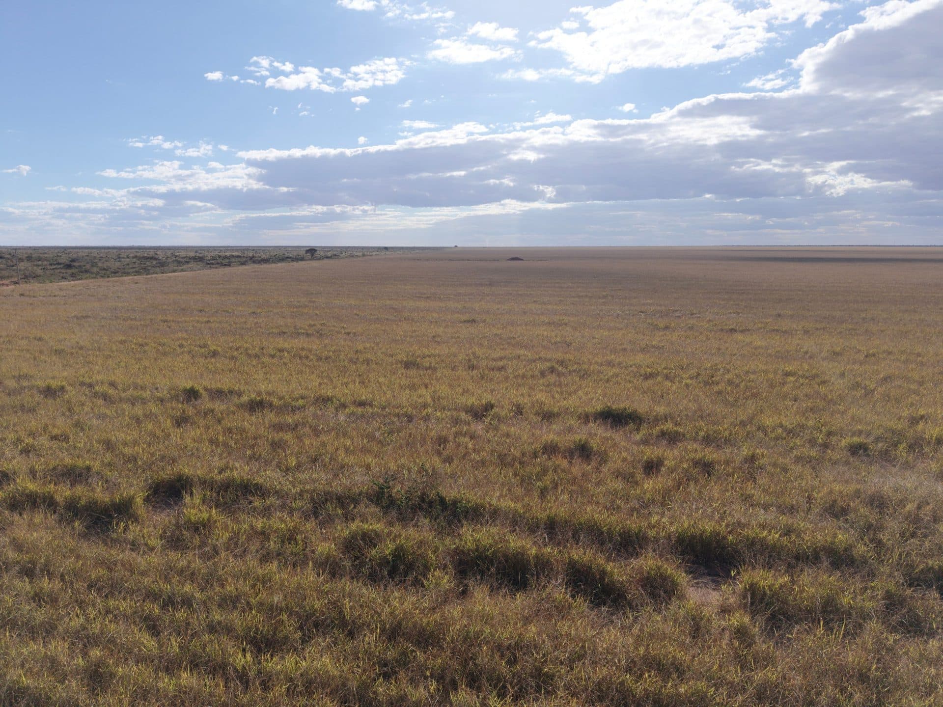 Fazenda na Bahia — 39 mil hectares — Bahia — região de divisa com GO e MG